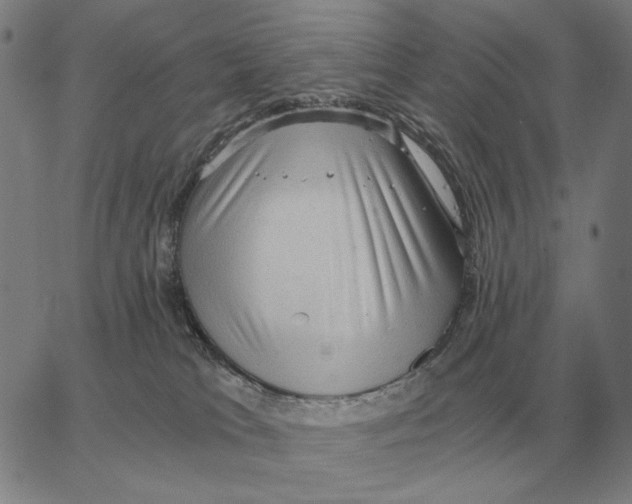 X0000062650037200601181821