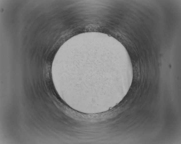 X0000062650038200601181821