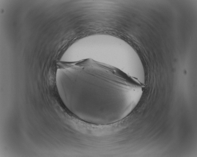 X0000062650039200601181821