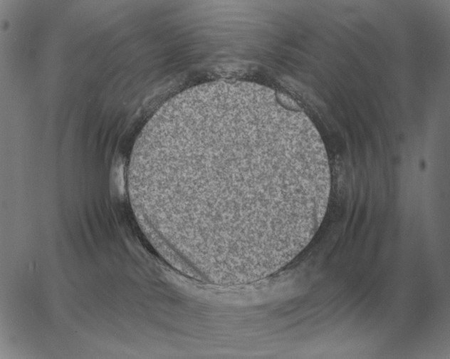 X0000062650042200601181821