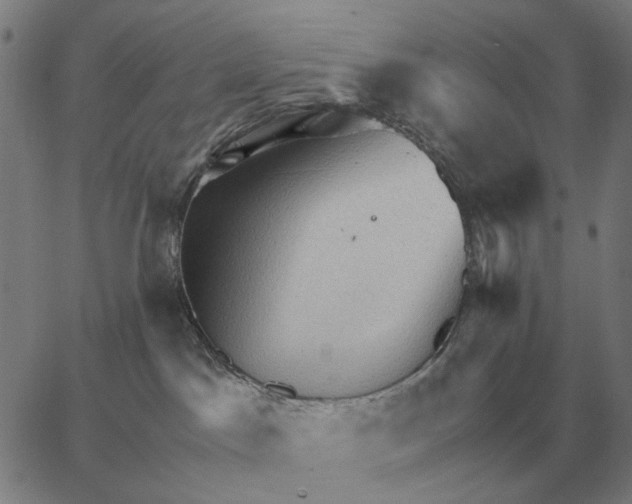 X0000062650045200601181821