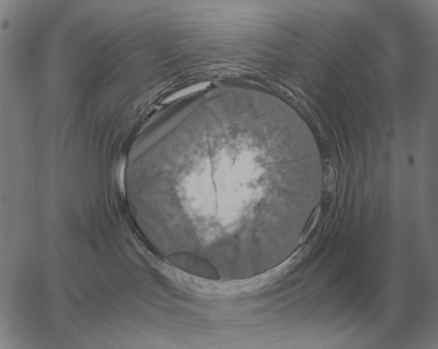 X0000062650047200601181821