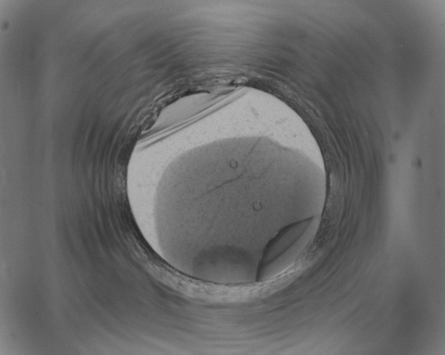 X0000062650048200601181821