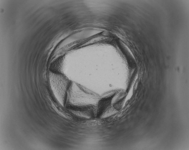 X0000062650050200601181820