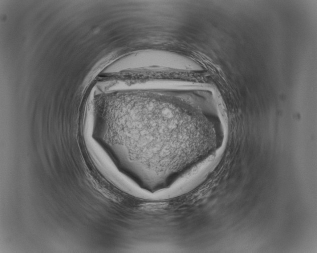 X0000062650051200601181820