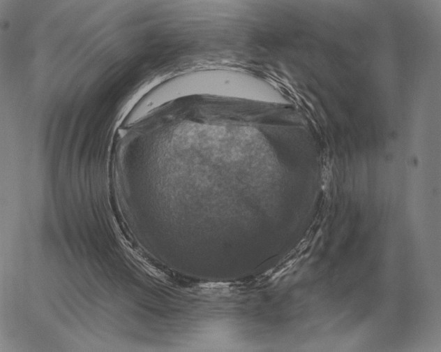 X0000062650052200601181820