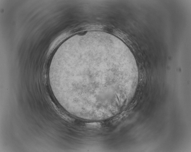 X0000062650053200601181820