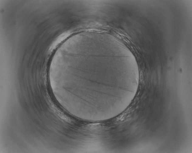 X0000062650054200601181820