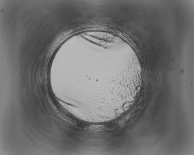 X0000062650055200601181820