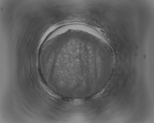 X0000062650056200601181820