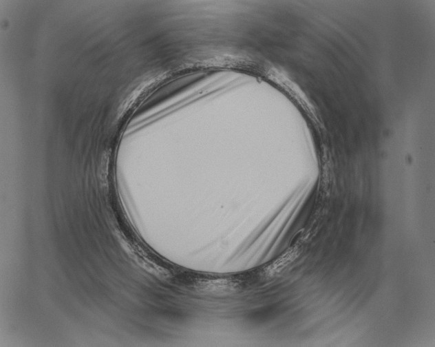 X0000062650058200601181820