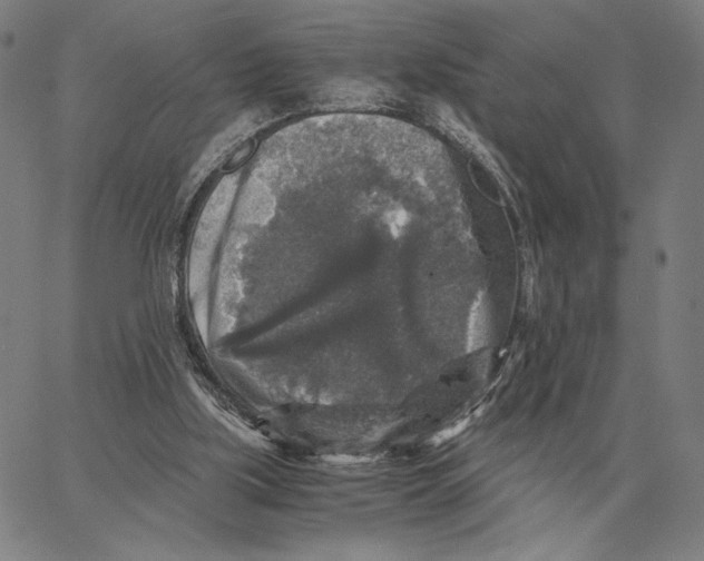 X0000062650059200601181820