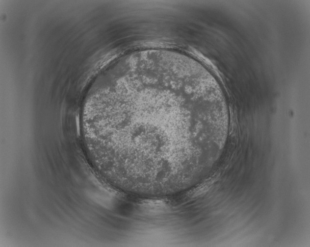 X0000062650061200601181820