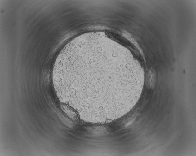 X0000062650063200601181820