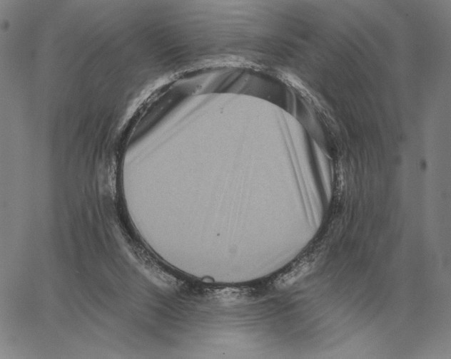 X0000062650064200601181820