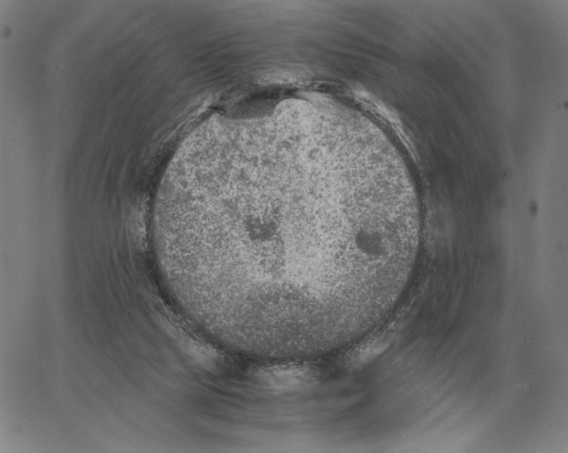 X0000062650065200601181820