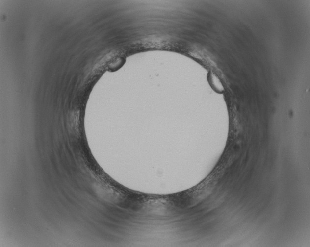 X0000062650066200601181820