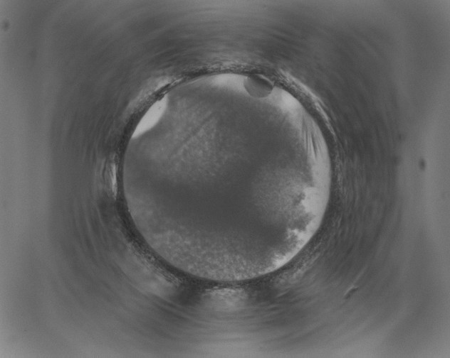 X0000062650067200601181820