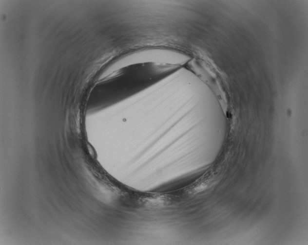 X0000062650068200601181820