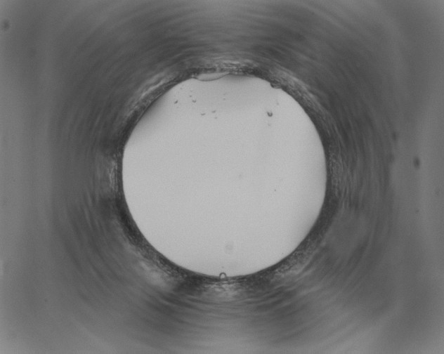 X0000062650071200601181820