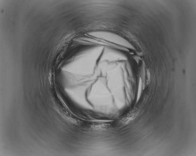 X0000062650072200601181820