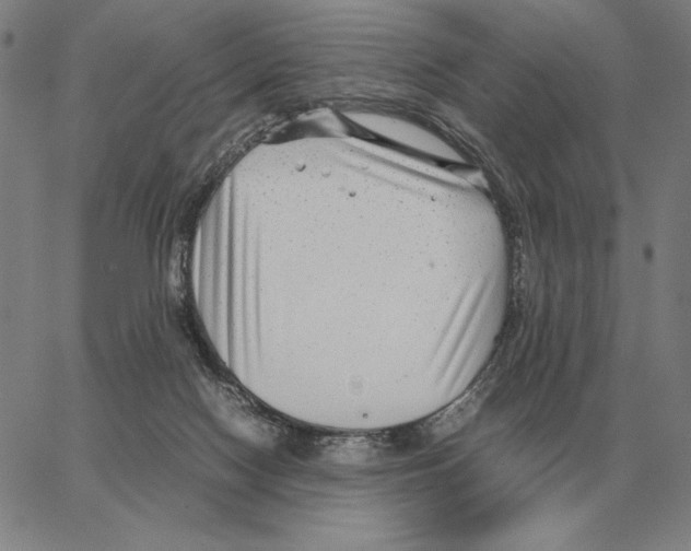 X0000062650074200601181820