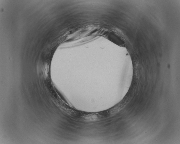 X0000062650075200601181820