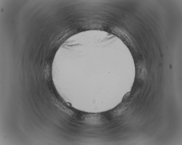 X0000062650077200601181820