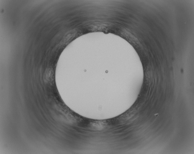 X0000062650079200601181820