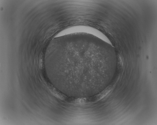 X0000062650080200601181820