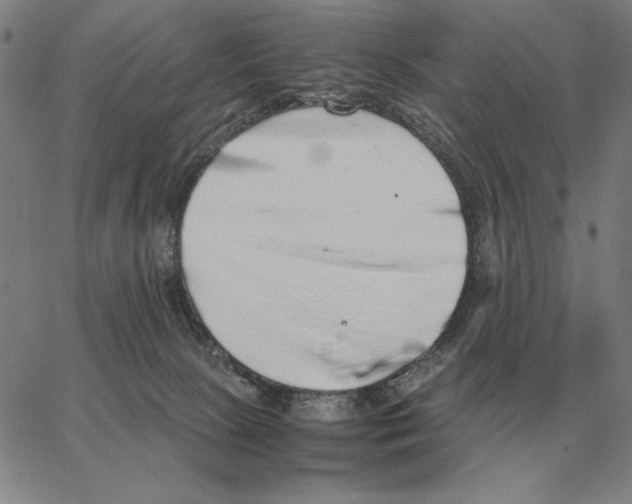 X0000062650081200601181820