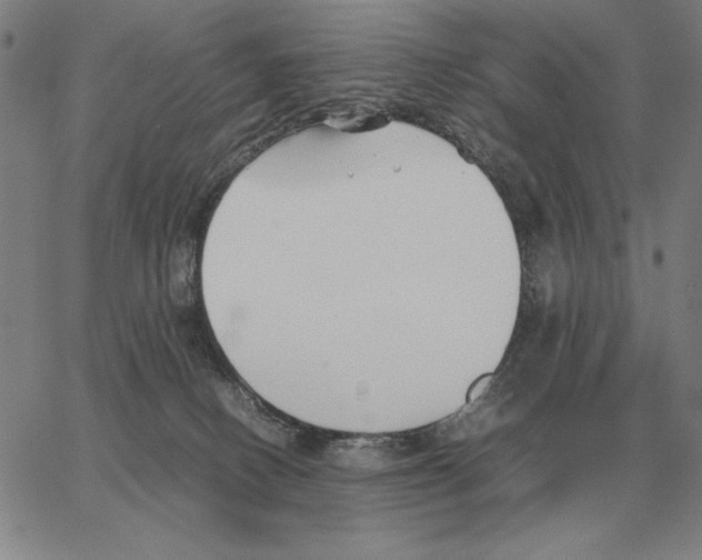 X0000062650082200601181820