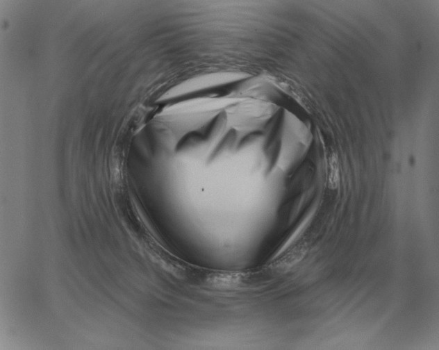 X0000062650084200601181820