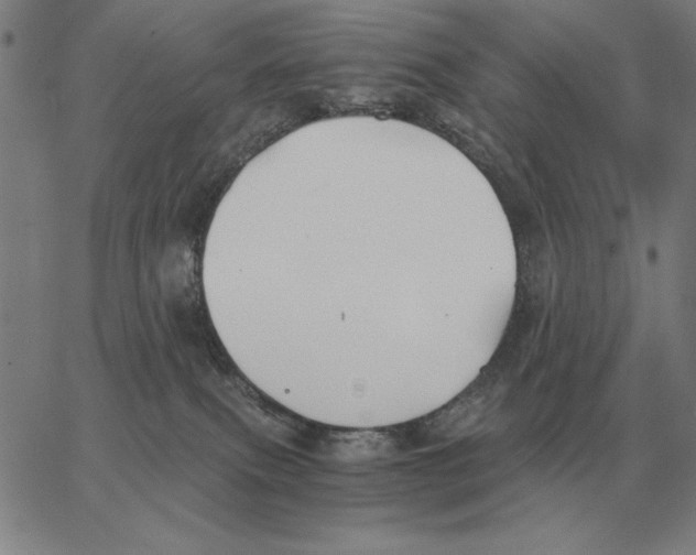 X0000062650087200601181820