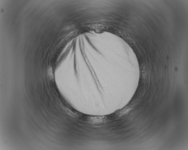 X0000062650089200601181820