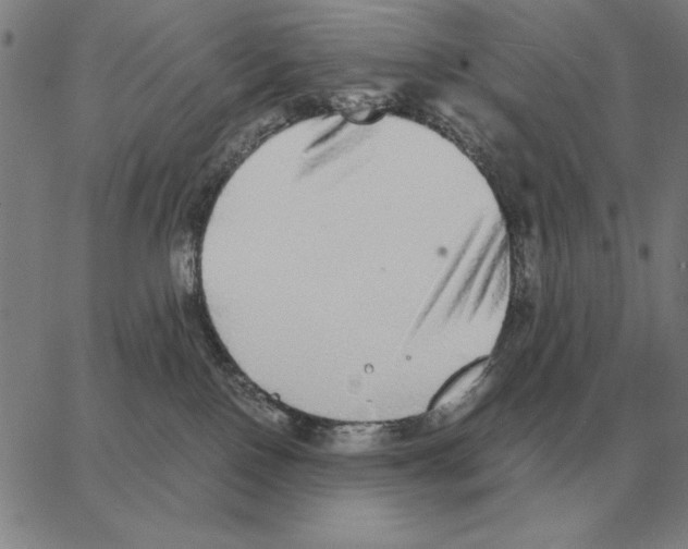 X0000062650090200601181820