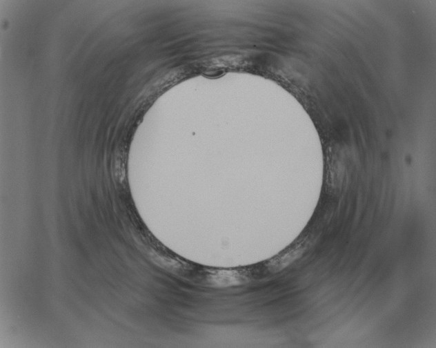 X0000062650091200601181820