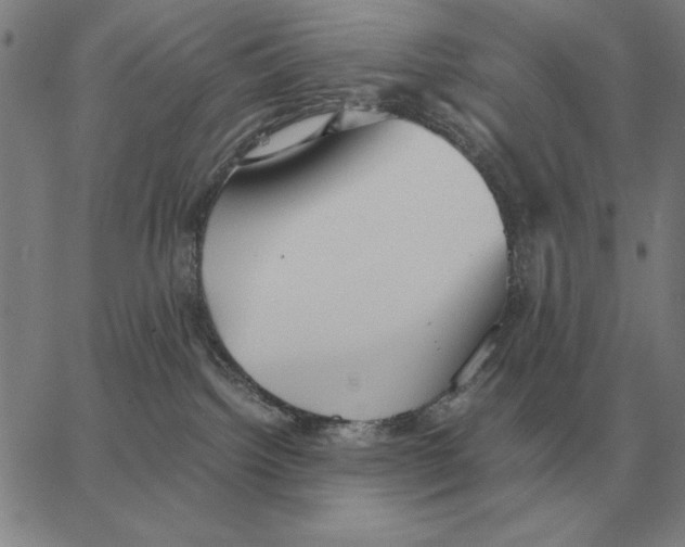 X0000062650092200601181820