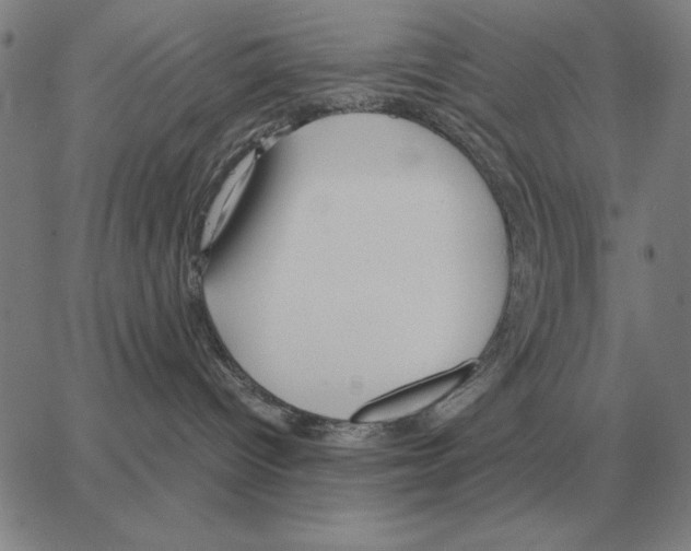 X0000062650096200601181821