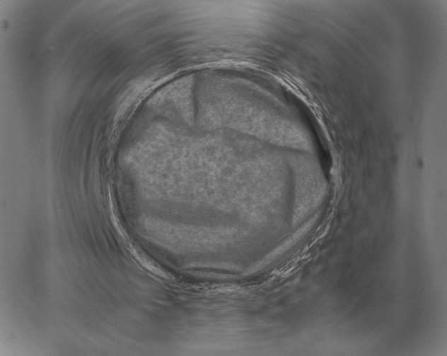 X0000062650097200601181820