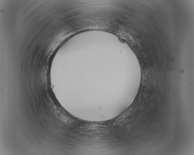 X0000062650098200601181820