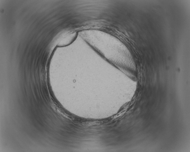 X0000062650100200601181820