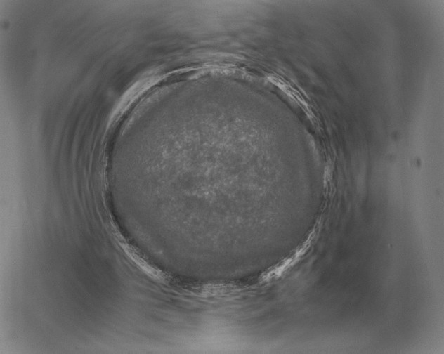 X0000062650101200601181820