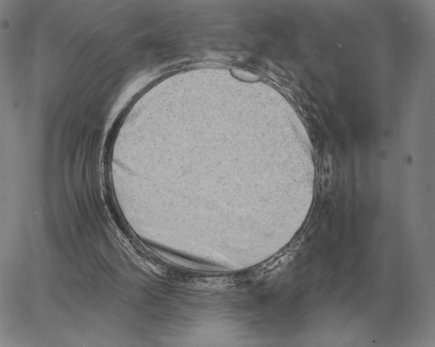 X0000062650102200601181820