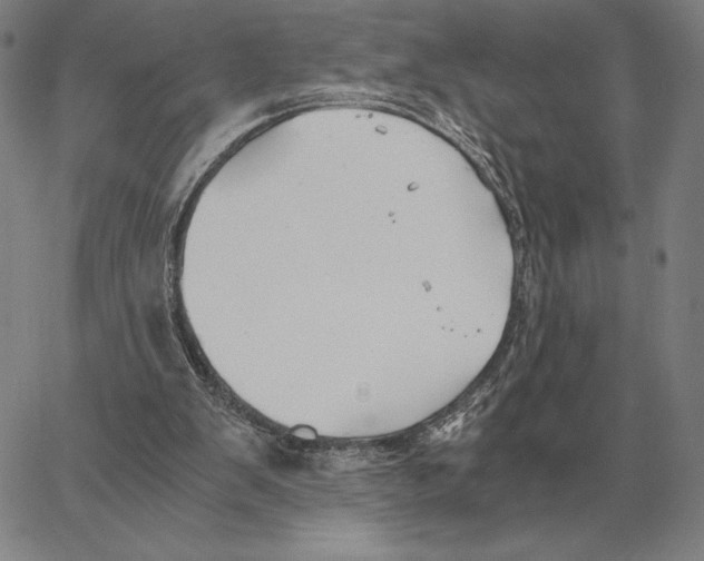 X0000062650103200601181820