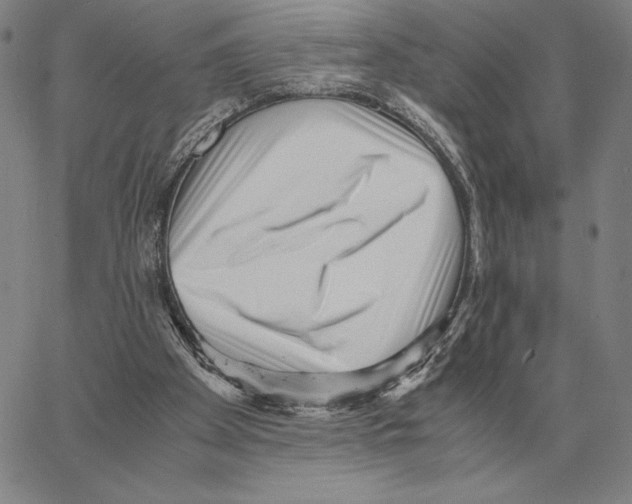 X0000062650105200601181820