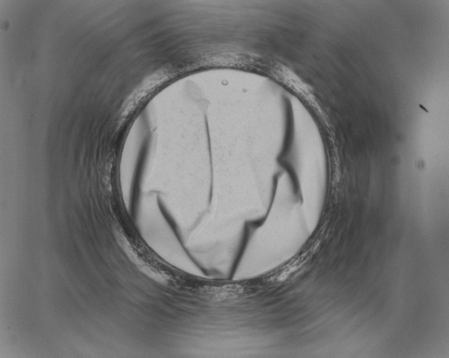 X0000062650106200601181820