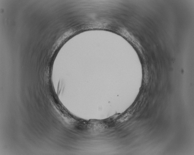 X0000062650107200601181820