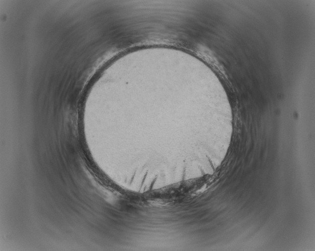 X0000062650108200601181820