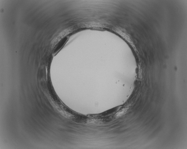 X0000062650109200601181820